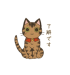 ねこの少し丁寧なあいさつ（個別スタンプ：4）