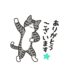 40匹のねこの、みんなで感謝！（個別スタンプ：3）