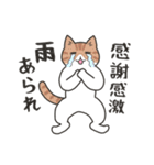 40匹のねこの、みんなで感謝！（個別スタンプ：25）