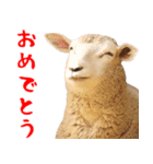 飛び出す！カピバラと動物の仲間たち（個別スタンプ：9）