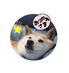 みんなと一緒 22（個別スタンプ：7）
