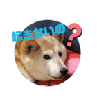 みんなと一緒 22（個別スタンプ：8）