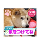 みんなと一緒 22（個別スタンプ：9）