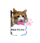 サンと私のあいさつ（個別スタンプ：3）