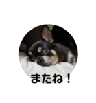 ふんふんのスタンプPart9♡（個別スタンプ：15）