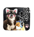 ふんふんのスタンプPart9♡（個別スタンプ：21）