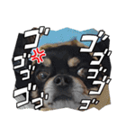ふんふんのスタンプPart9♡（個別スタンプ：23）