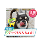 ふんふんのスタンプPart9♡（個別スタンプ：28）