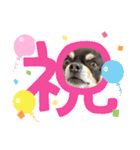 ふんふんのスタンプPart9♡（個別スタンプ：39）