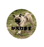 mugimogy（個別スタンプ：8）