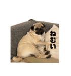 mugimogy（個別スタンプ：21）