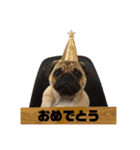 mugimogy（個別スタンプ：28）