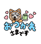 わんわんオールスターズ（個別スタンプ：4）