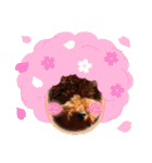 わんわんオールスターズ（個別スタンプ：21）