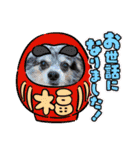 わんわんオールスターズ（個別スタンプ：23）
