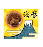 わんわんオールスターズ（個別スタンプ：38）