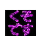 ▶激熱 激しく大げさに伝える花火【動く】2（個別スタンプ：16）