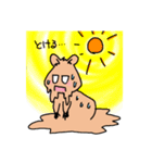 まいにちクオッカ 2 夏（個別スタンプ：3）