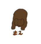 クマのさまざまな姿（個別スタンプ：31）