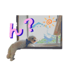 愛犬だいず⭐︎スタンプの巻（個別スタンプ：22）