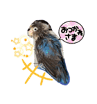 無敵のなっちゃん（個別スタンプ：3）