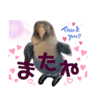 無敵のなっちゃん（個別スタンプ：7）