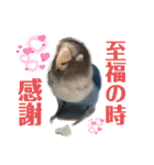 無敵のなっちゃん（個別スタンプ：10）