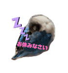 無敵のなっちゃん（個別スタンプ：11）
