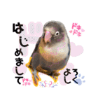 無敵のなっちゃん（個別スタンプ：15）