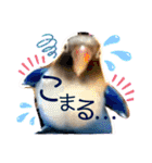 無敵のなっちゃん（個別スタンプ：36）