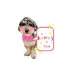 タルトのスタンプでしゅ❣️（個別スタンプ：2）