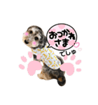 タルトのスタンプでしゅ❣️（個別スタンプ：3）