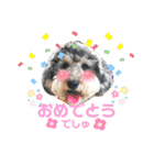 タルトのスタンプでしゅ❣️（個別スタンプ：4）