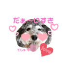 タルトのスタンプでしゅ❣️（個別スタンプ：5）