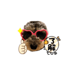 タルトのスタンプでしゅ❣️（個別スタンプ：7）