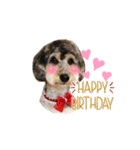 タルトのスタンプでしゅ❣️（個別スタンプ：30）