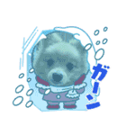 可愛いポメーズスタンプ（個別スタンプ：14）