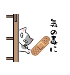 差し入れ猫（個別スタンプ：8）