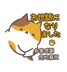 猫日常会話デカ文字♥️日本語と繁中語付き（個別スタンプ：11）