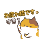 猫日常会話デカ文字♥️日本語と繁中語付き（個別スタンプ：14）