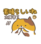 猫日常会話デカ文字♥️日本語と繁中語付き（個別スタンプ：34）