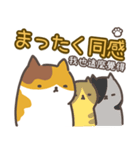 猫日常会話デカ文字♥️日本語と繁中語付き（個別スタンプ：40）