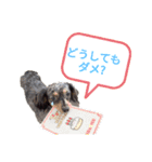 あずのSTAMP（個別スタンプ：6）