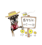 銀汰 麗（個別スタンプ：3）