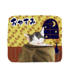 銀汰 麗（個別スタンプ：4）