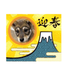 銀汰 麗（個別スタンプ：12）