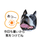 夏に毎日使える便利なスタンプ（個別スタンプ：4）