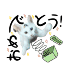 人間みたいなネコ2（個別スタンプ：3）