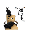 猫好きな方へ友達ことばと敬語（個別スタンプ：3）