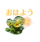 ムンとお花ちゃん（個別スタンプ：1）